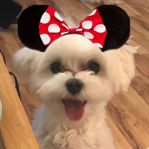 Meet your Posher, Deborah - Picture 4 of 7